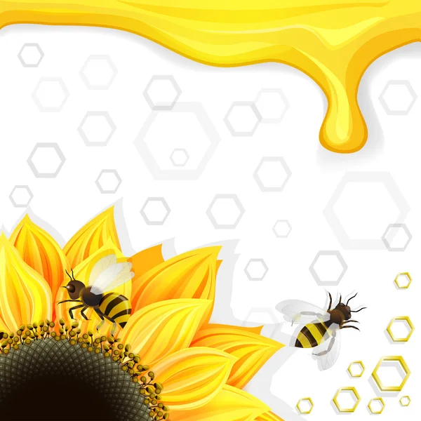 Sonnenblumen und Bienen über Waben Hintergrund — Stockvektor