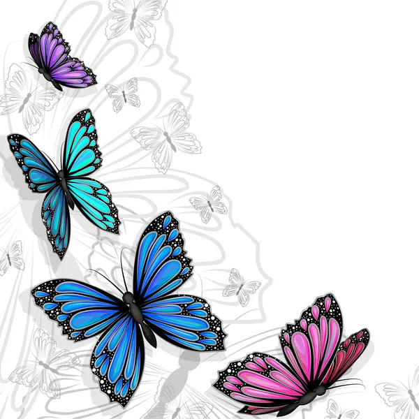 Schmetterlingskarte — Stockvektor