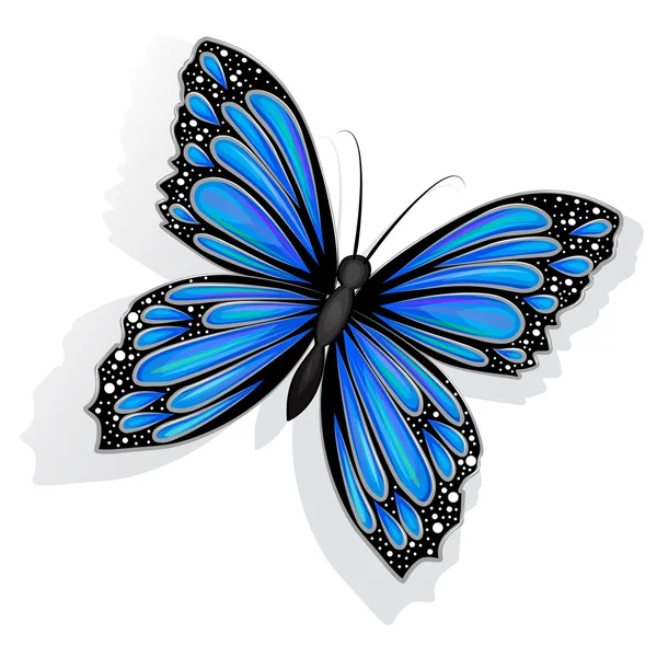 Beautiful blue butterfly isolated — Stock Vector