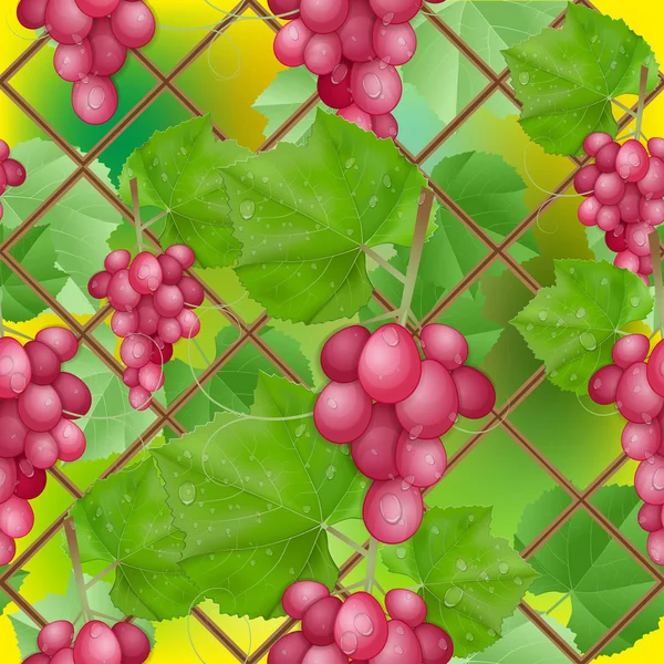 Différentes variétés de raisins avec des feuilles sur fond blanc — Image vectorielle