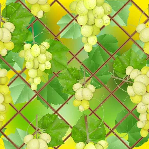 Diferentes variedades de uvas con hojas sobre fondo blanco — Archivo Imágenes Vectoriales