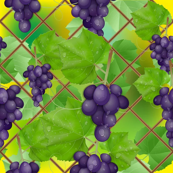 Diferentes variedades de uvas con hojas sobre fondo blanco — Archivo Imágenes Vectoriales