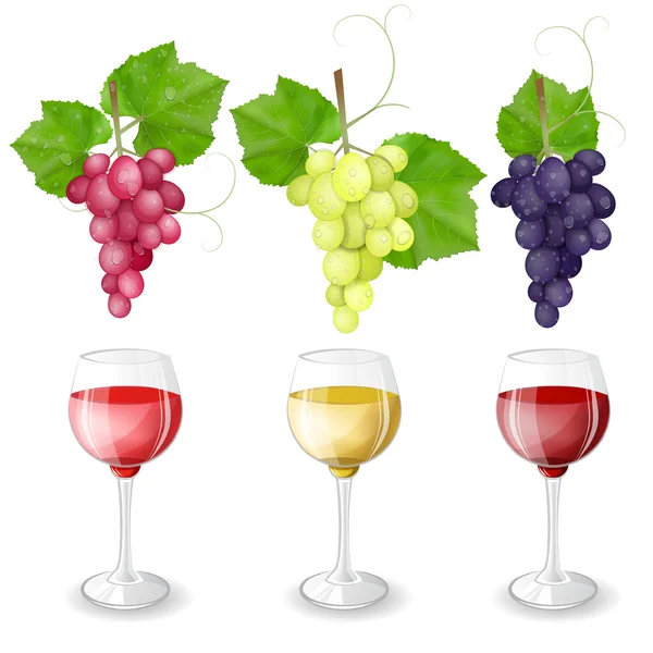 Diferentes variedades de uvas e copos de vinho sobre fundo branco —  Vetores de Stock