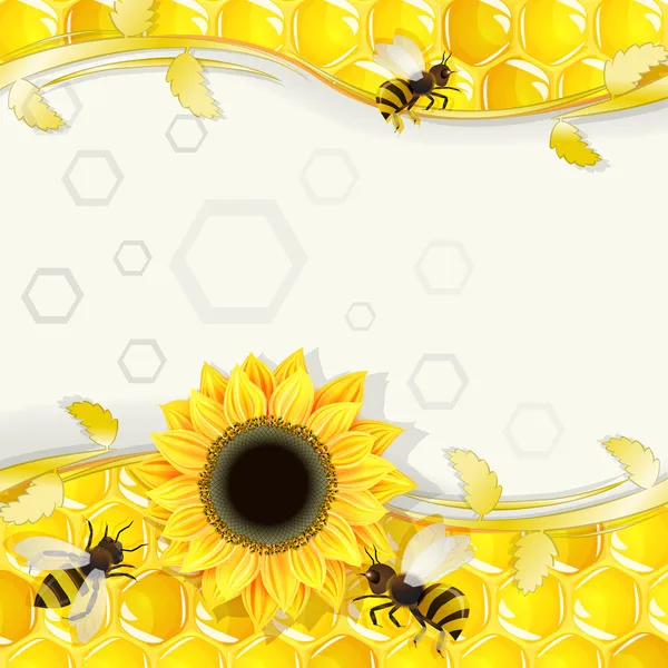 Tournesols et abeilles sur fond de nids d'abeilles — Image vectorielle