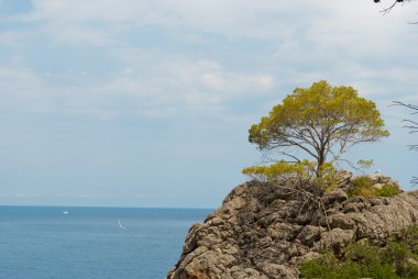 13-058