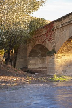 sonbaharda Nehri Köprüsü