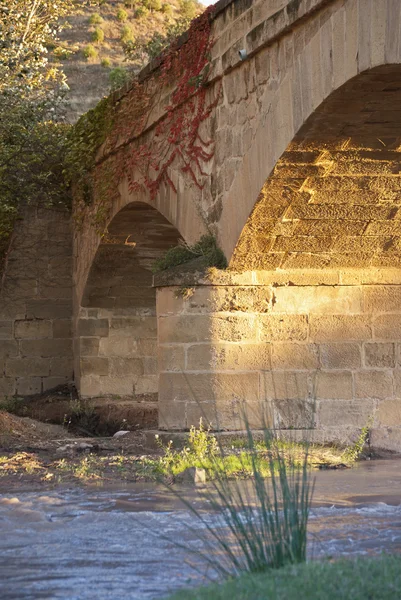 Мост через реку осенью — стоковое фото