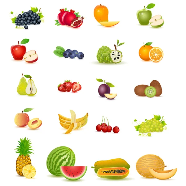 Färsk frukt — Stock vektor