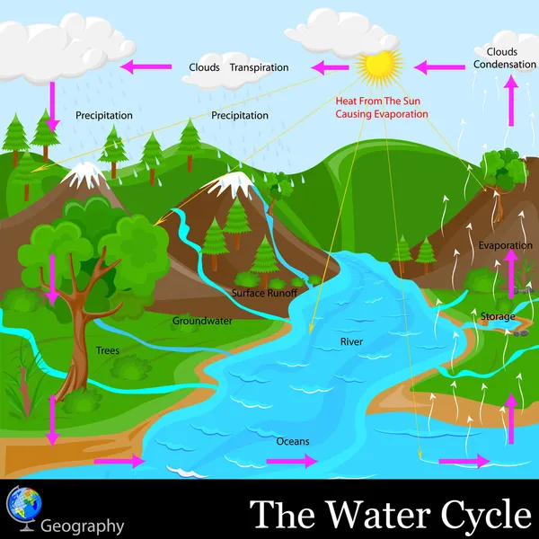 Ciclo del agua — Archivo Imágenes Vectoriales