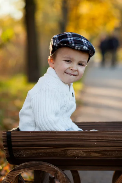 Autumn portrait of a boy — Stock Photo, Image