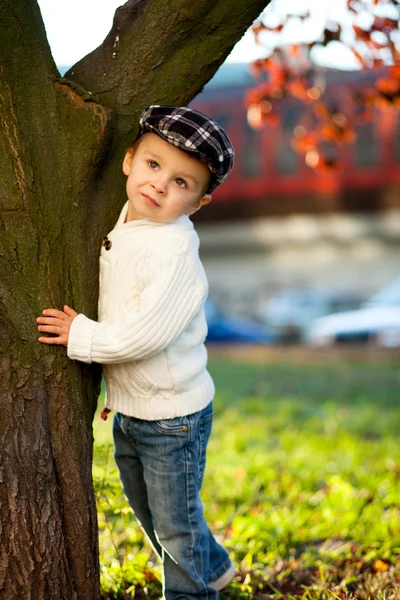 Herfst portret van een jongen — Stockfoto