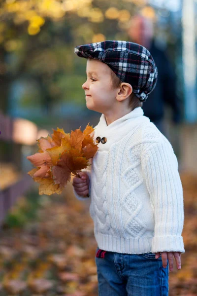 Осенний портрет мальчика Стоковая Картинка