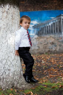 erkek takım elbise ve kravat, giyinmiş, poz