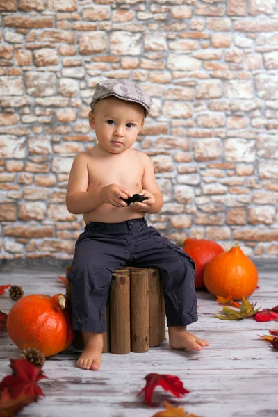 Boy with a trolley and pumpkins — Stock Photo, Image