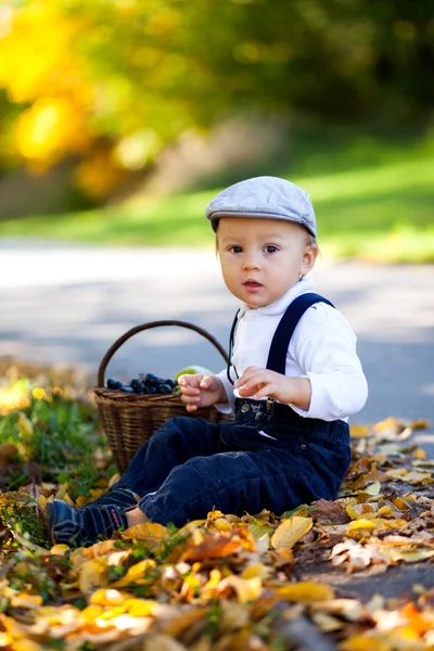 Retrato al aire libre de otoño de un niño pequeño — Foto de Stock