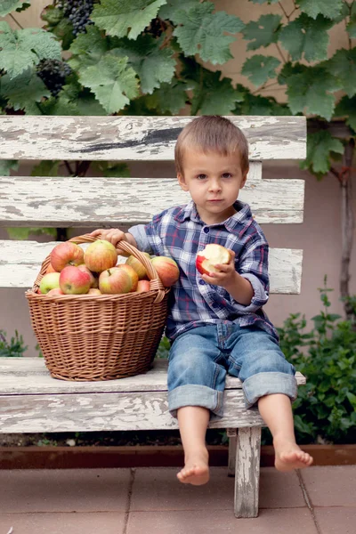 Chlapec s jablky — Stock fotografie