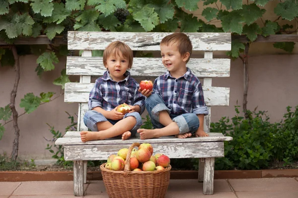 Dva chlapce, jíst jablka — Stock fotografie