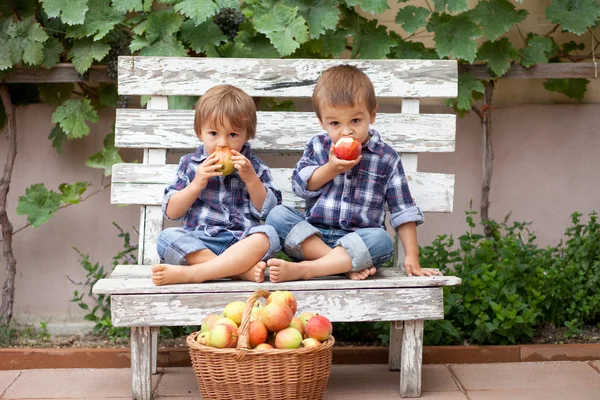 Deux garçons, mangeant des pommes — Photo