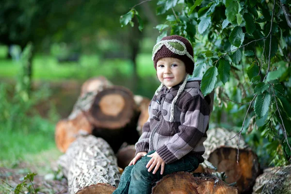 Portrait of a boy, sitting on a tree trunk — Stock Photo, Image