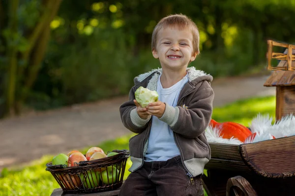 Retrato de un niño con manzanas — Foto de Stock