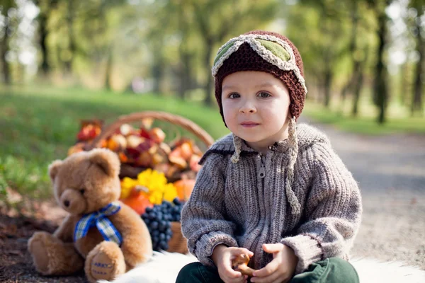 Boy with a picnic basket — Stock Photo, Image