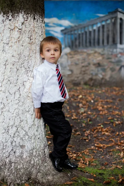 Niño, vestido con traje y corbata, posando —  Fotos de Stock