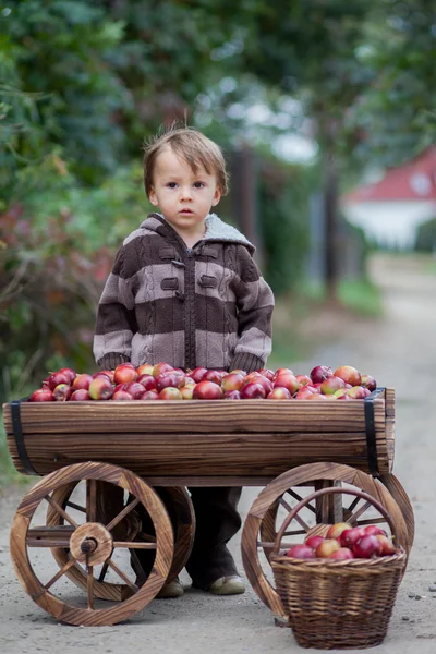 Ragazzo con un carrello, pieno di mele — Foto Stock