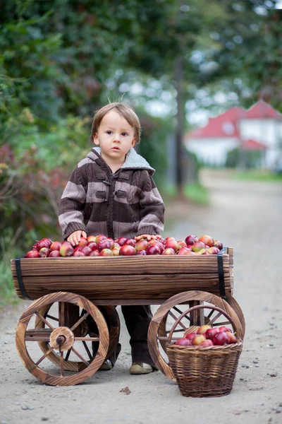 Niño con un carro, lleno de manzanas — Foto de Stock