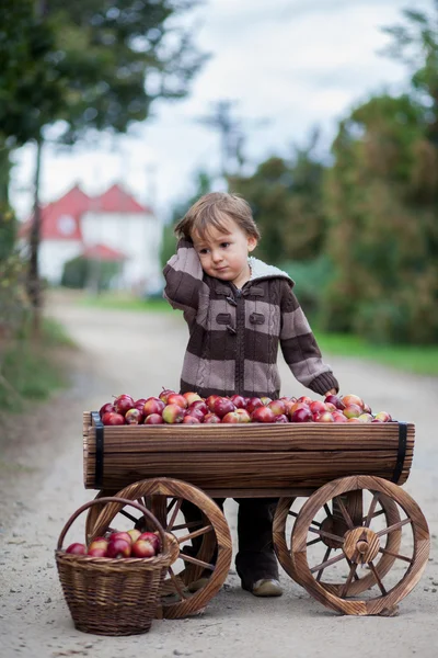 Garçon avec un chariot, plein de pommes — Photo