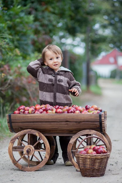 Çocuk arabası, elma tam ile — Stok fotoğraf