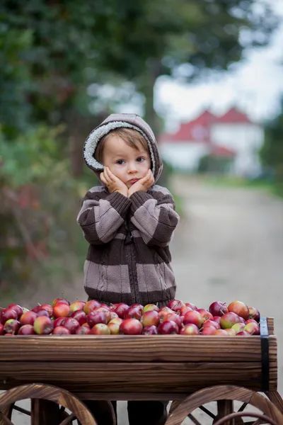 Rapaz com um carrinho, cheio de maçãs — Fotografia de Stock