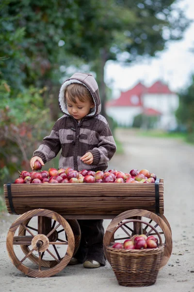 Ragazzo con un carrello, pieno di mele — Foto Stock