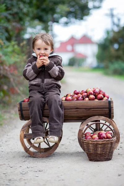 Niño con un carro, lleno de manzanas — Foto de Stock