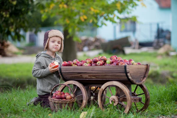 Pojke med en vagn på en bana — Stockfoto