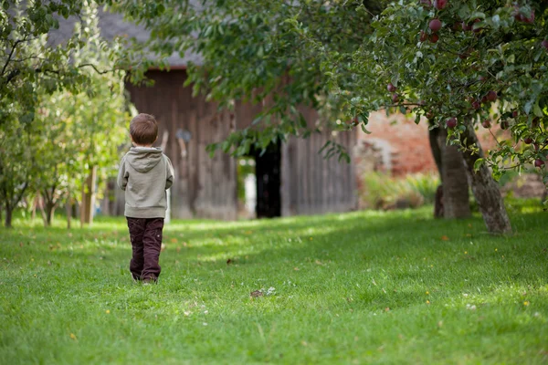 Bir elma bahçesinde çocuklar — Stok fotoğraf