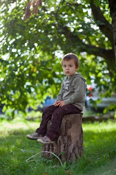 Boy, sitting on a trunk — Stock Photo, Image