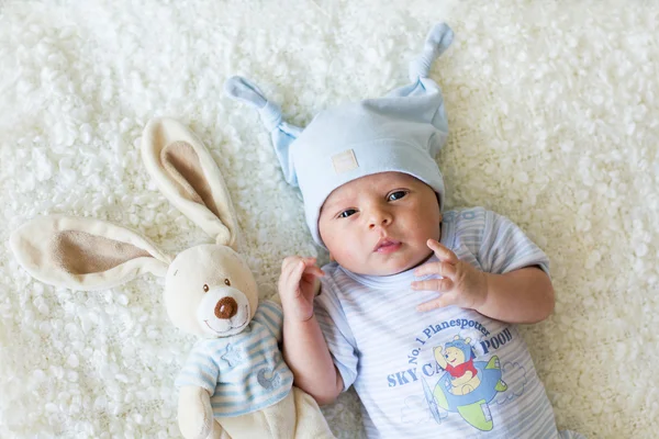 Baby boy with a fluffly toy — Stock Photo, Image