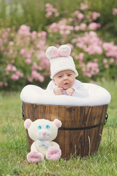 Bebé niño ina cubo en fron de rosales —  Fotos de Stock