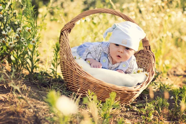 Babyjongen in een mand — Stockfoto