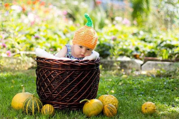 Bir kova erkek bebek — Stok fotoğraf