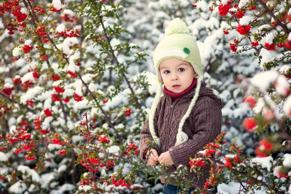 Retrato de Inverno de um menino — Fotografia de Stock