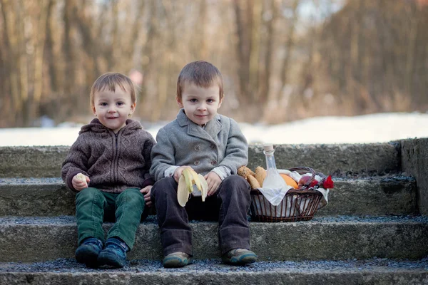 Два мальчика с корзиной для пикника — стоковое фото