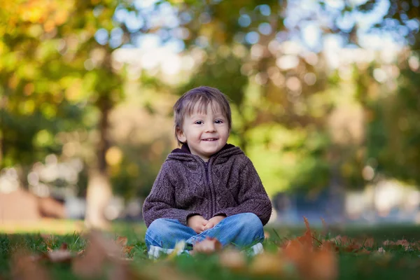 Boy, sitting on a lawn — Stock Photo, Image