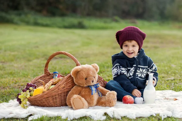 Liten pojke på picknick — Stockfoto