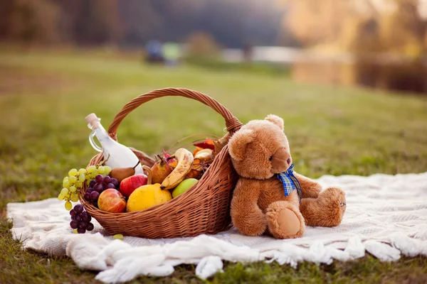 Picknickkorb — Stockfoto