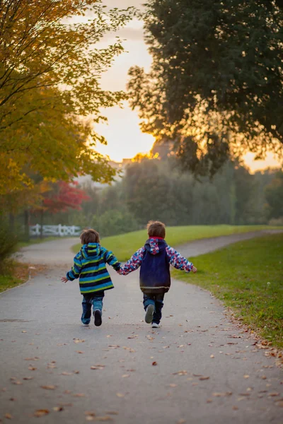Irmãos correndo em um parque — Fotografia de Stock