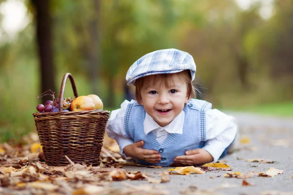 Chłopiec w parku z liści i kosz owoców — Zdjęcie stockowe