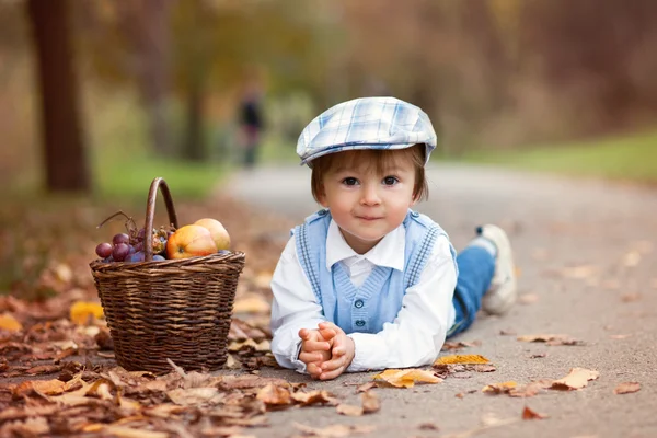 Menino em um parque com folhas e cesta de frutas — Fotografia de Stock