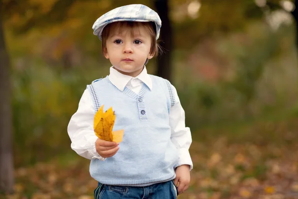 Niño en un parque con hojas y cesta de frutas — Foto de Stock