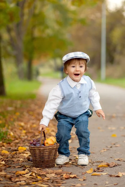 Menino em um parque com folhas e cesta de frutas — Fotografia de Stock